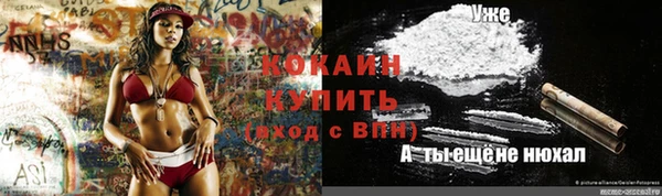 гашик Абинск
