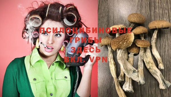 дмт Абдулино