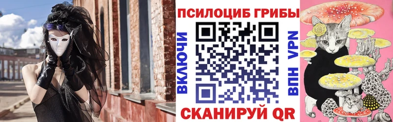 ОМГ ОМГ онион  наркошоп  Жердевка  Псилоцибиновые грибы MAGIC MUSHROOMS 