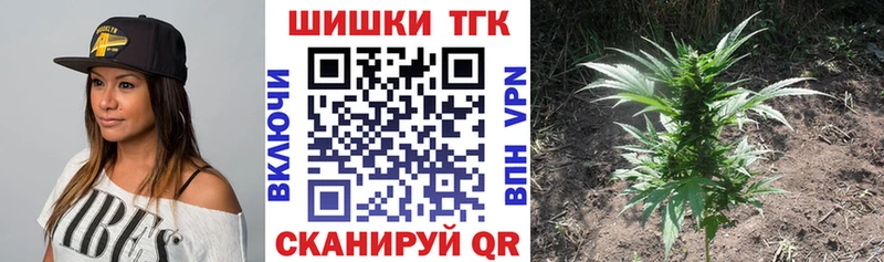 Канабис OG Kush это наркотические препараты Жердевка